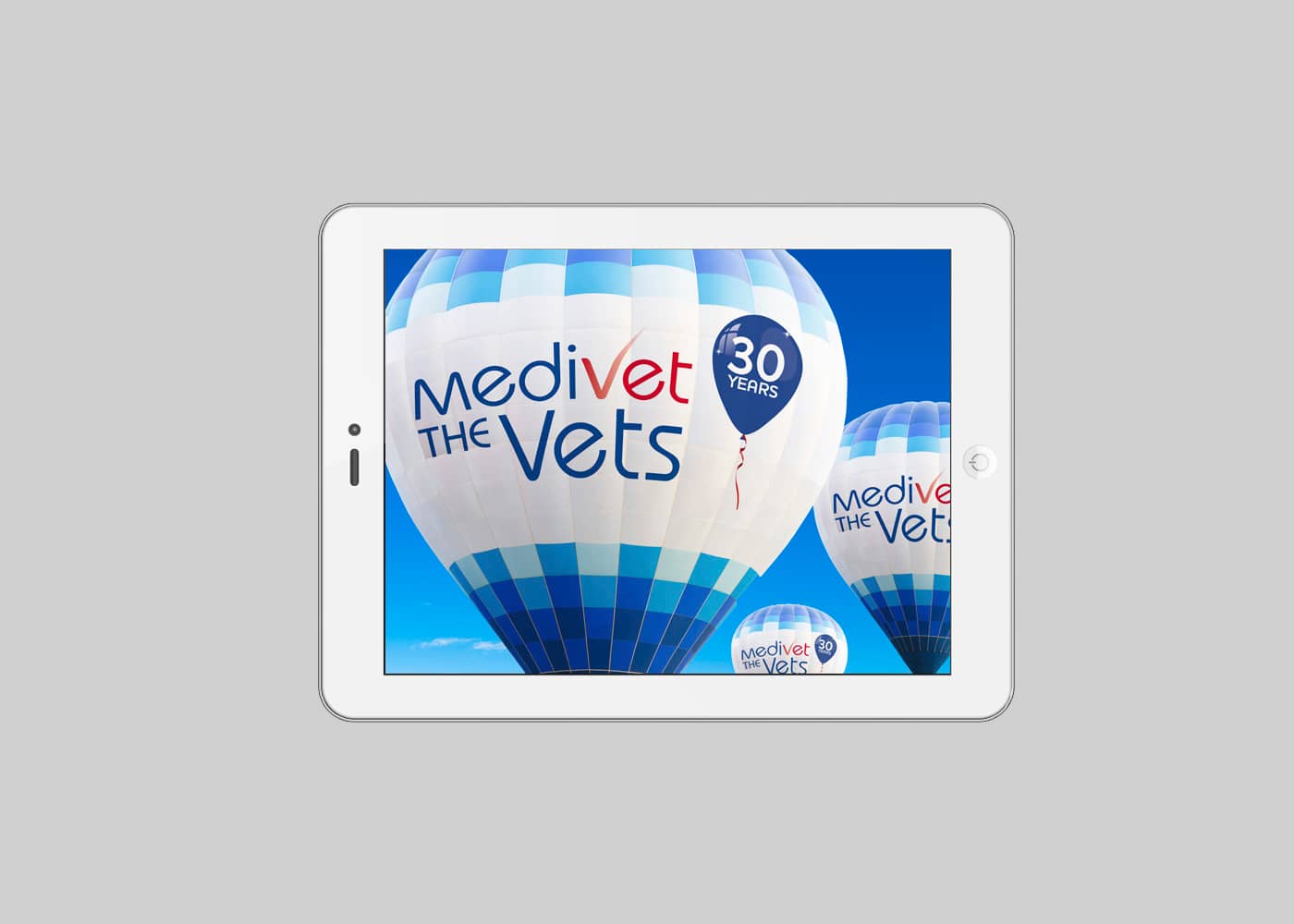 Medivet the Vets